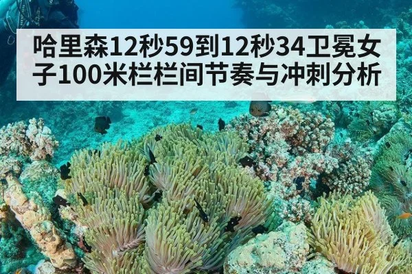 哈里森12秒59到12秒34卫冕女子100米栏栏间节奏与冲刺分析